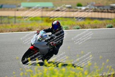 media/May-10-2024-2WTD (Fri) [[c88d7990af]]/Group B/Session 2-The Bowl/